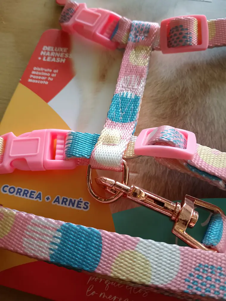 Set Arnés + Correa Ajustable para Gato (Talla M)  2