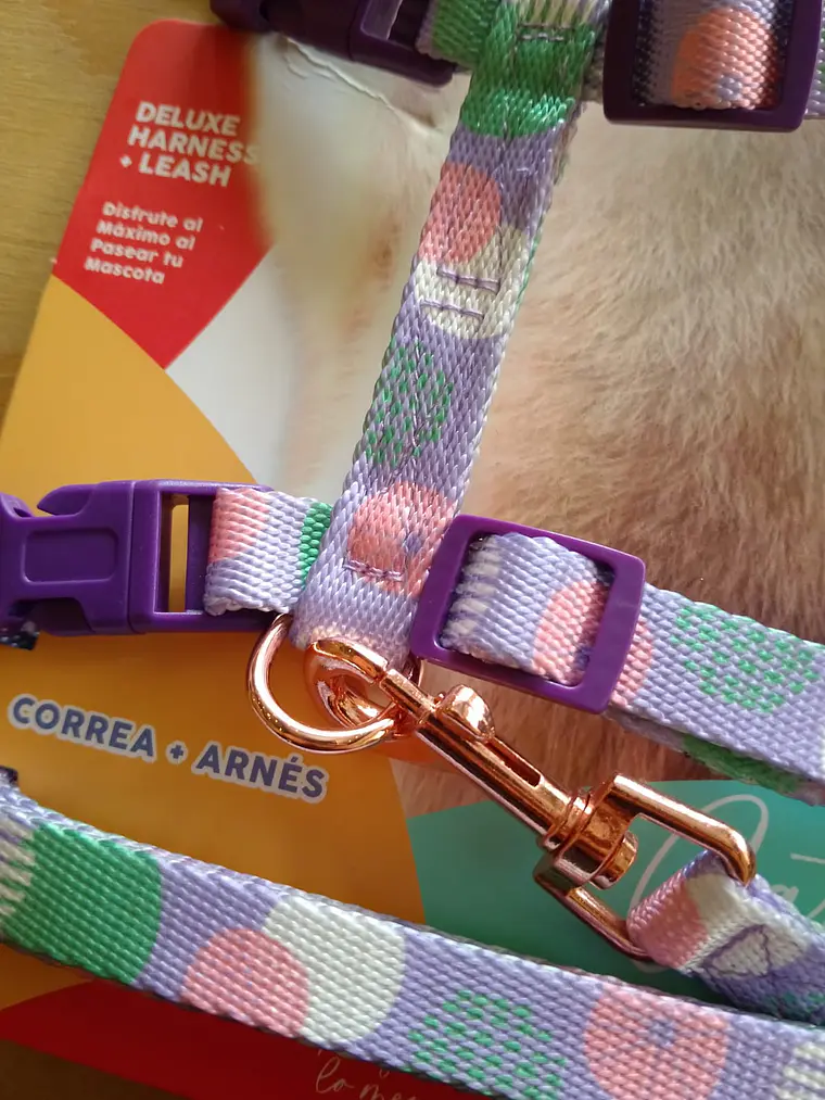 Set Arnés + Correa Ajustable para Gato (Talla M)  5