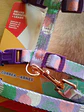 Set Arnés + Correa Ajustable para Gato (Talla M)  - Miniatura 5