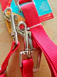 Correa de Auto Doble Deluxe para Perro –  (Talla M) - Miniatura 7
