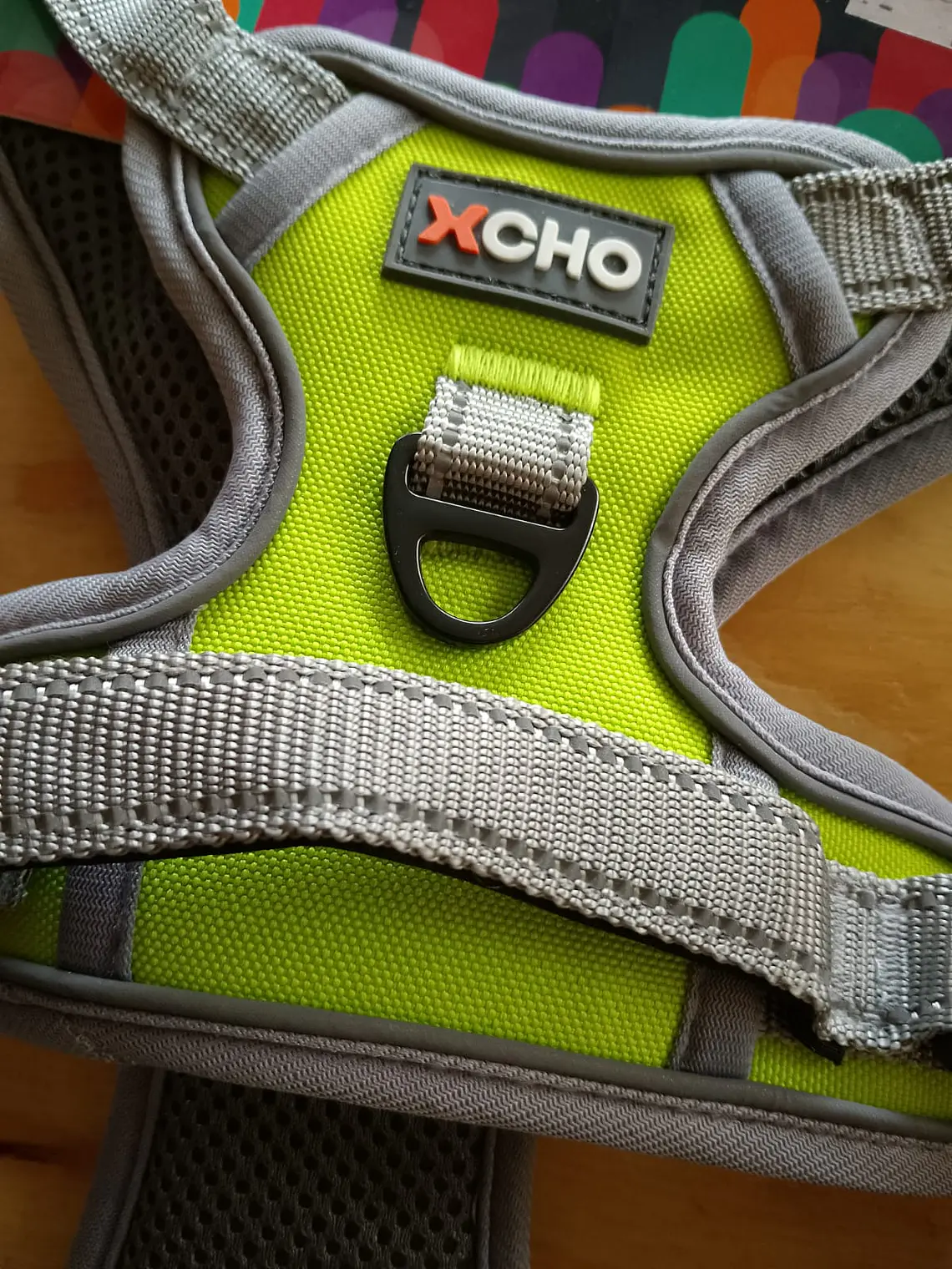 Arnés para Perro XCHO Premium (Talla M) – Ajustable y Acolchado 3