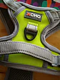 Arnés para Perro XCHO Premium (Talla M) – Ajustable y Acolchado - Miniatura 3