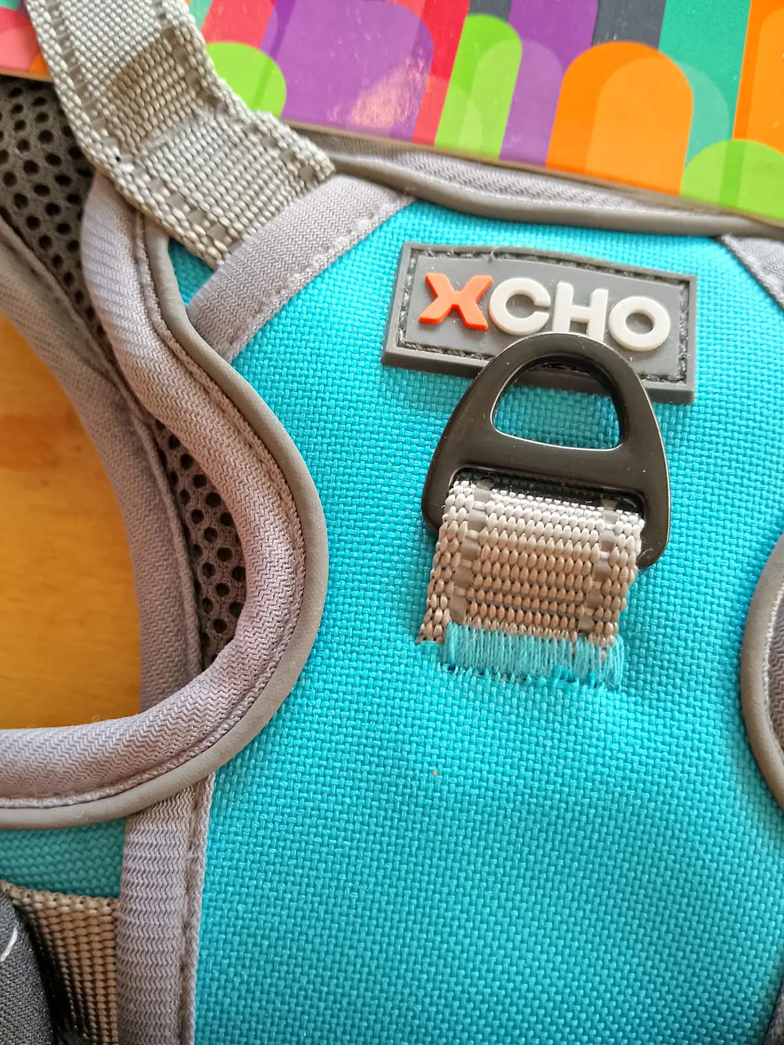 Arnés para Perro XCHO Premium (Talla M) – Ajustable y Acolchado 5