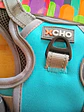 Arnés para Perro XCHO Premium (Talla M) – Ajustable y Acolchado - Miniatura 5