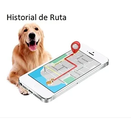 LauTrack GPS Tk909 Mascota 2G 1000Mha Collar para Mascotas,Perros, etc Geocerca. Plataforma Gratis por 10 años