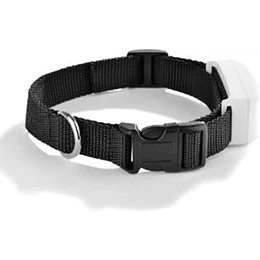 LauTrack GPS Tk911 500 MHA Plataforma Gratis por 10 Años
