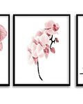 Trio de Quadros Decorativos Flores Singelas 