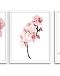 Trio de Quadros Decorativos Flores Singelas 