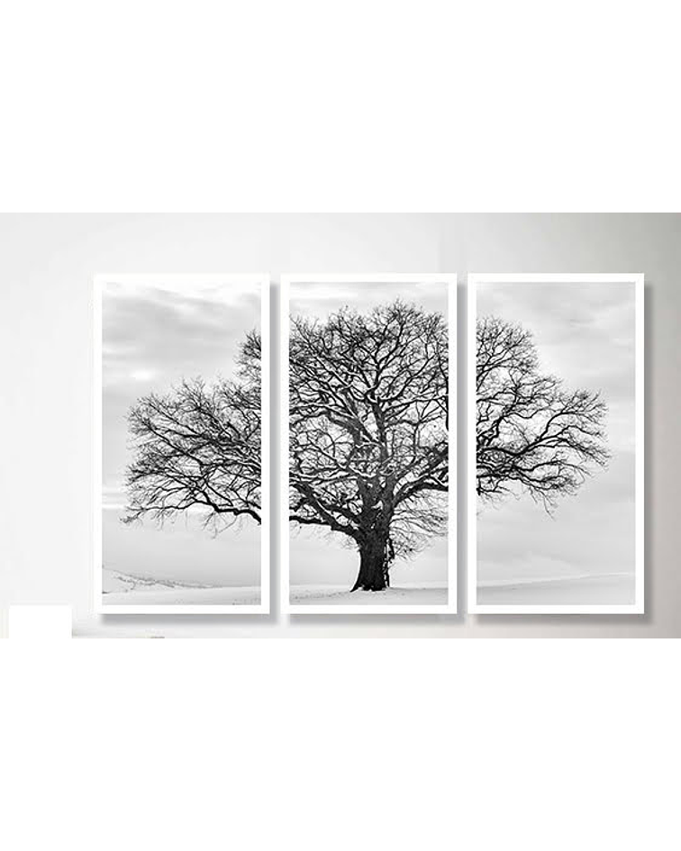 Trio de Quadros Decorativos Cotton Tree
