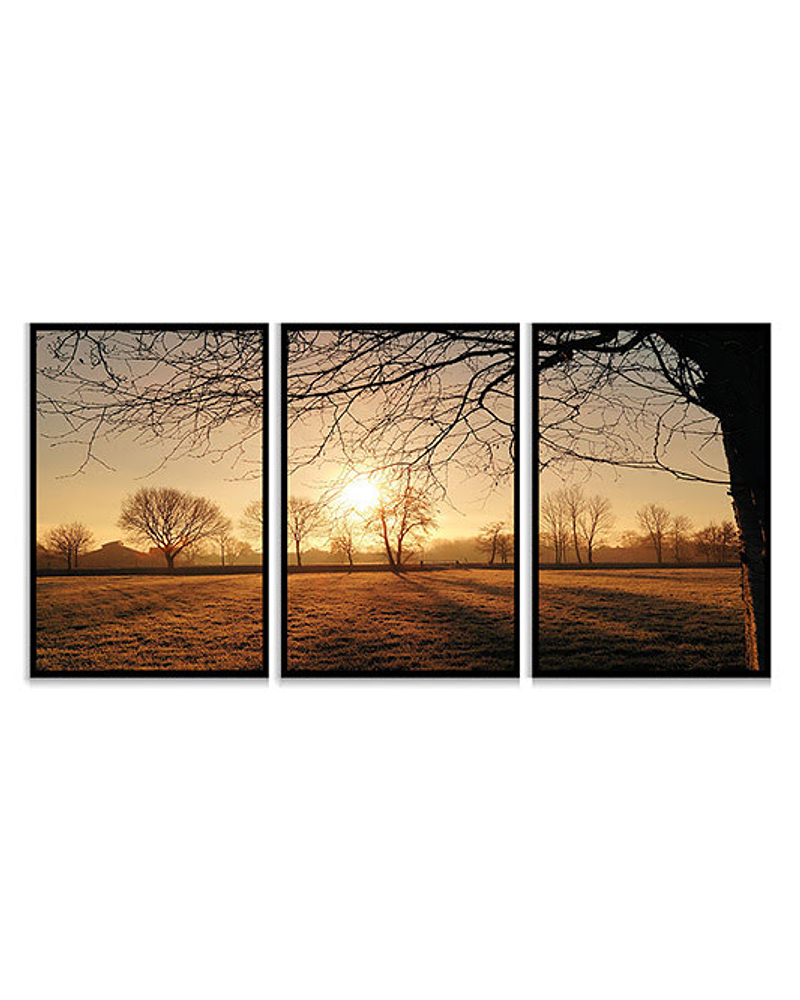 Trio de Quadros Decorativos Sépia Natural 