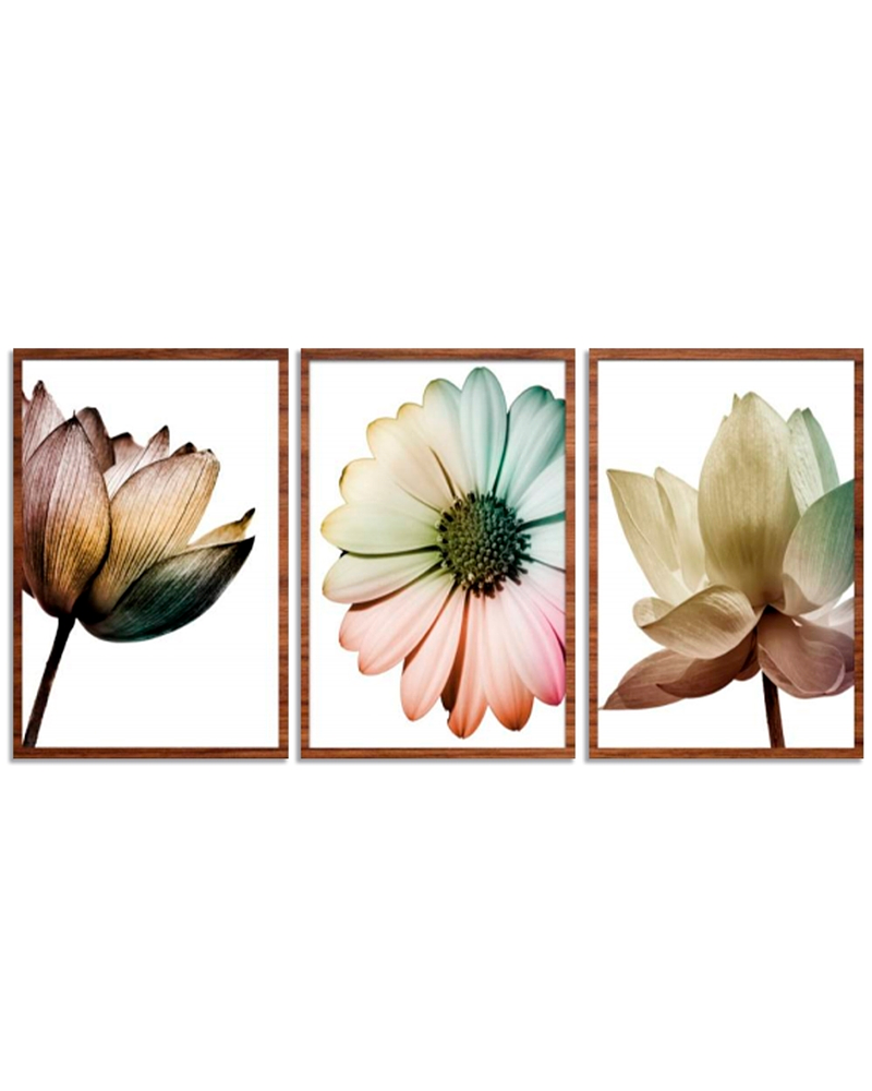 Trio de Quadros Decorativos Caleidoscópio 