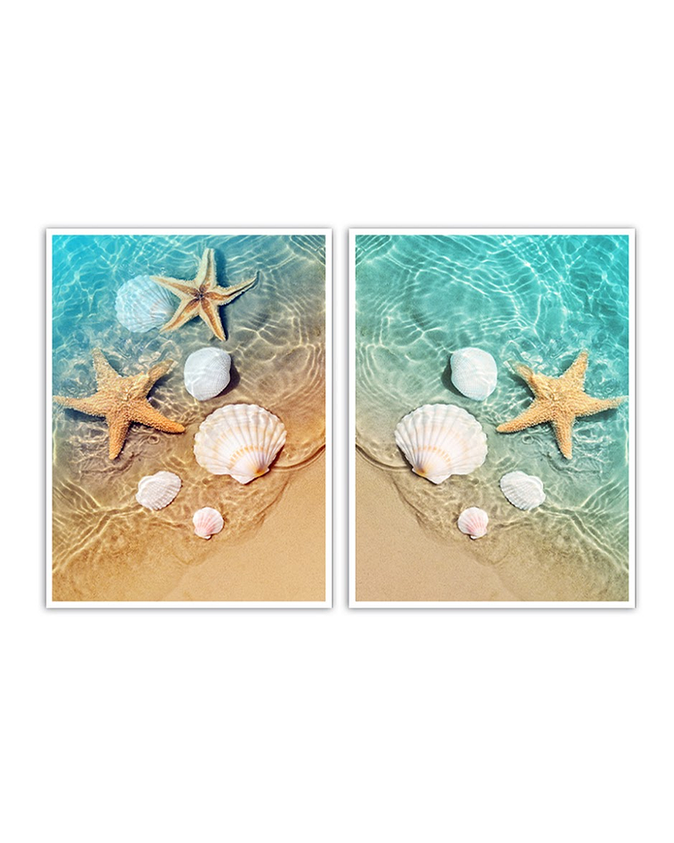 Conjunto de Quadros Decorativos Starfish