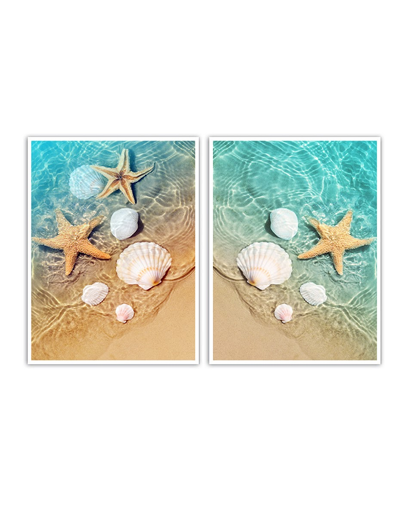 Conjunto de Quadros Decorativos Starfish