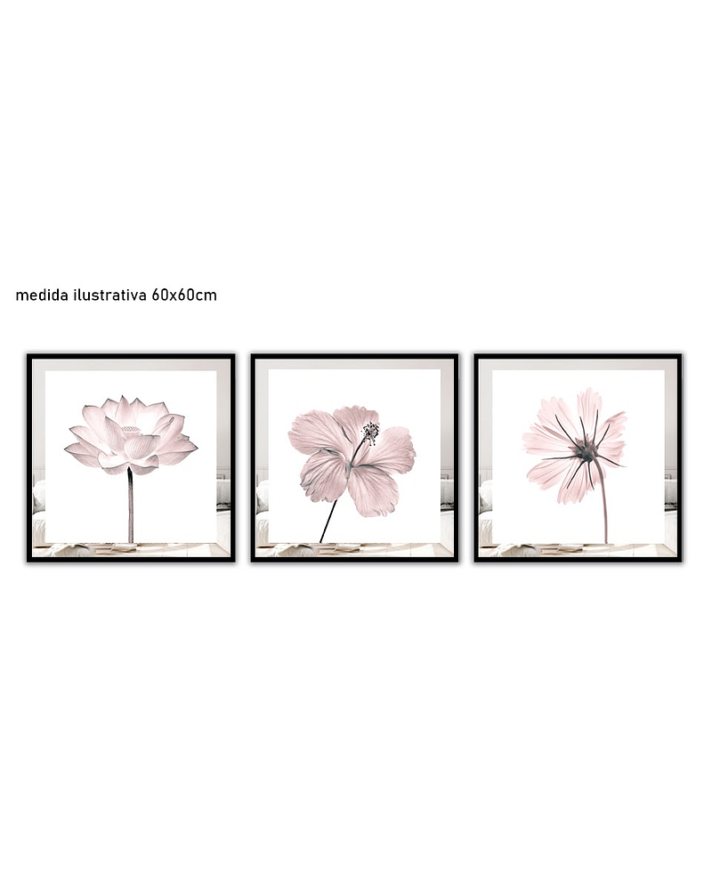 Trio de Quadros Decorativos Rebeca 