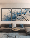 Trio de Quadros Decorativos  Sade 