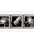 Trio de Quadros Decorativos Afrodite 