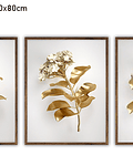 Trio de Quadros Decorativos Roses D'or 