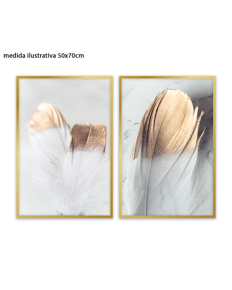Conjunto de Quadros Decorativos Feathers