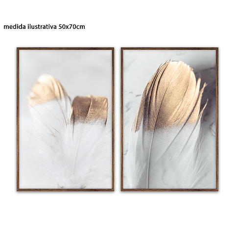 Conjunto de Quadros Separados Feathers - Alteração de valores por medidas 