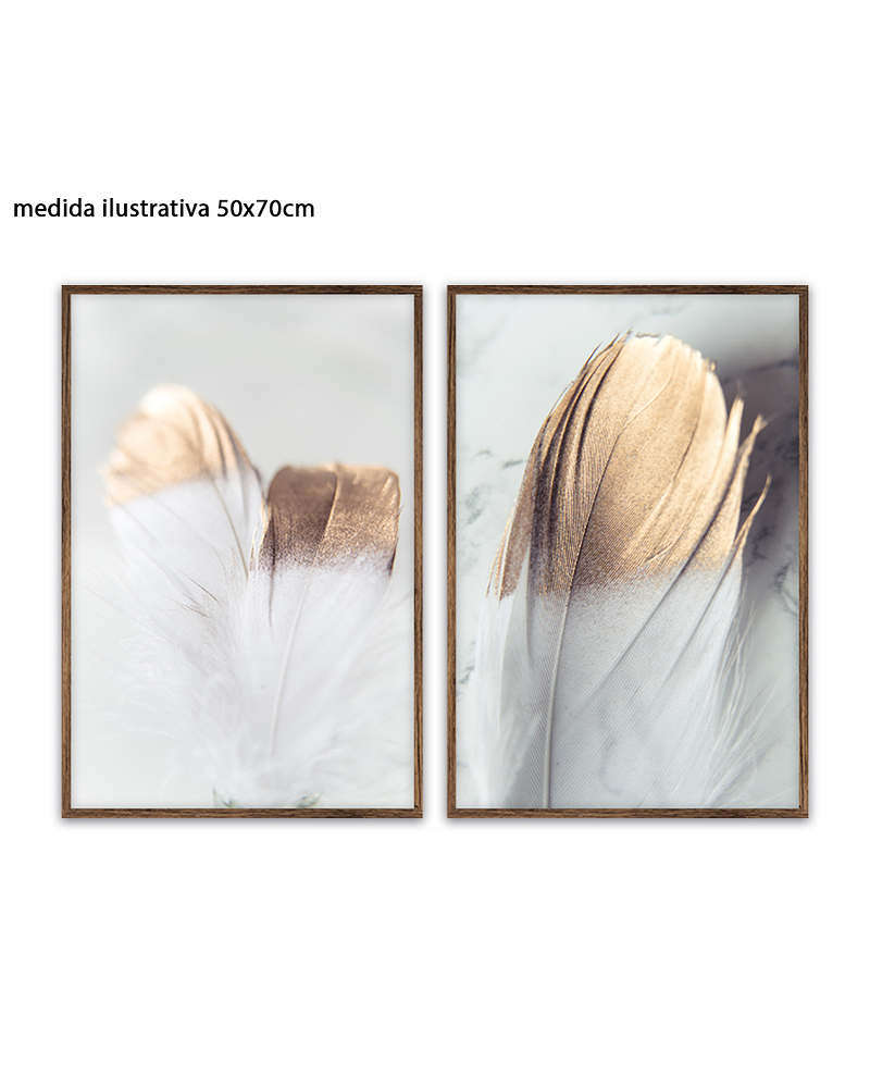 Conjunto de Quadros Decorativos Feathers