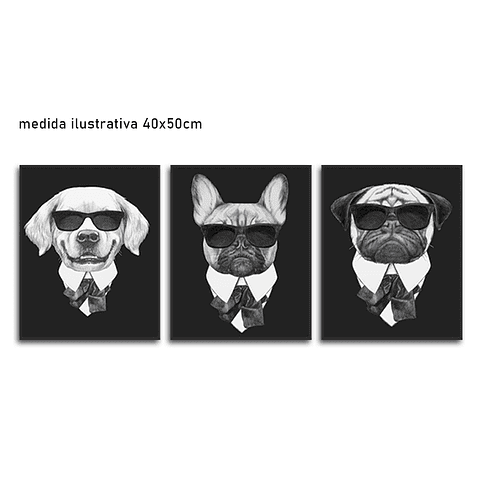Trio de Quadros Separados Dogs