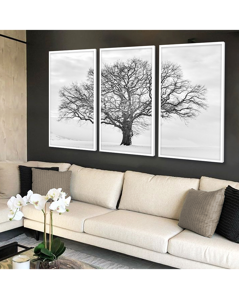 Trio de Quadros Decorativos Cotton Tree