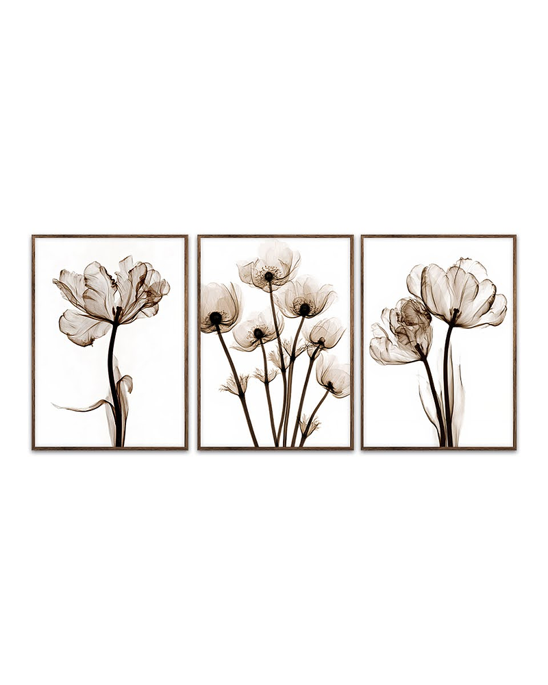 Trio de Quadros Decorativos Poppy 