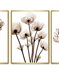 Trio de Quadros Decorativos Poppy 