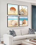 Composição de Quadros Decorativos Conch