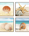 Composição de Quadros Decorativos Conch