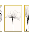 Trio de Quadros Decorativos Líria 