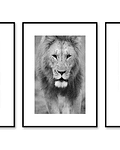 Trio de Quadros Decorativos Timon