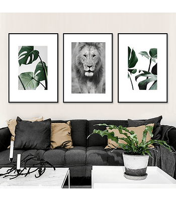 Trio de Quadros Decorativos Timon