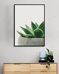 Quadro Decorativo Cactus