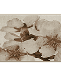 Quadro Decorativo Floral Amaryllis