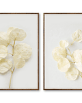 Conjunto de Quadros Decorativos Florais Lily