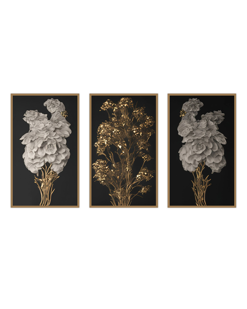 Trio de Quadros Decorativos Florais Jamilla 