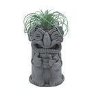 🎨 Arcilla Polimérica Super Sculpey Firm Gray 454 g 5