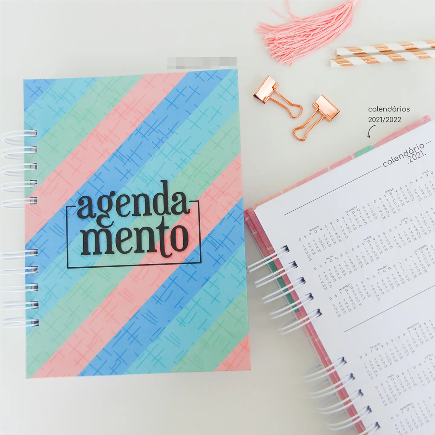 Artes para Caderno de Agendamentos Arquivo em Pdf 4