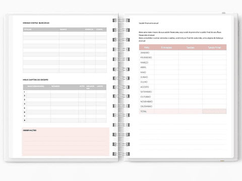 Planner Controle Financeiro Permanente Arquivo em Pdf