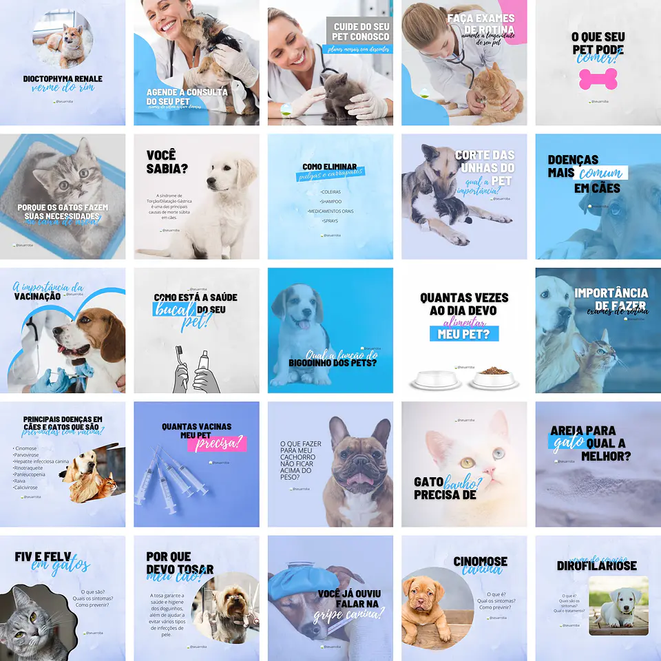 Pack Canva Veterinária Pet Shop Petshop Templates Editáveis 25 Artes + Bônus 1