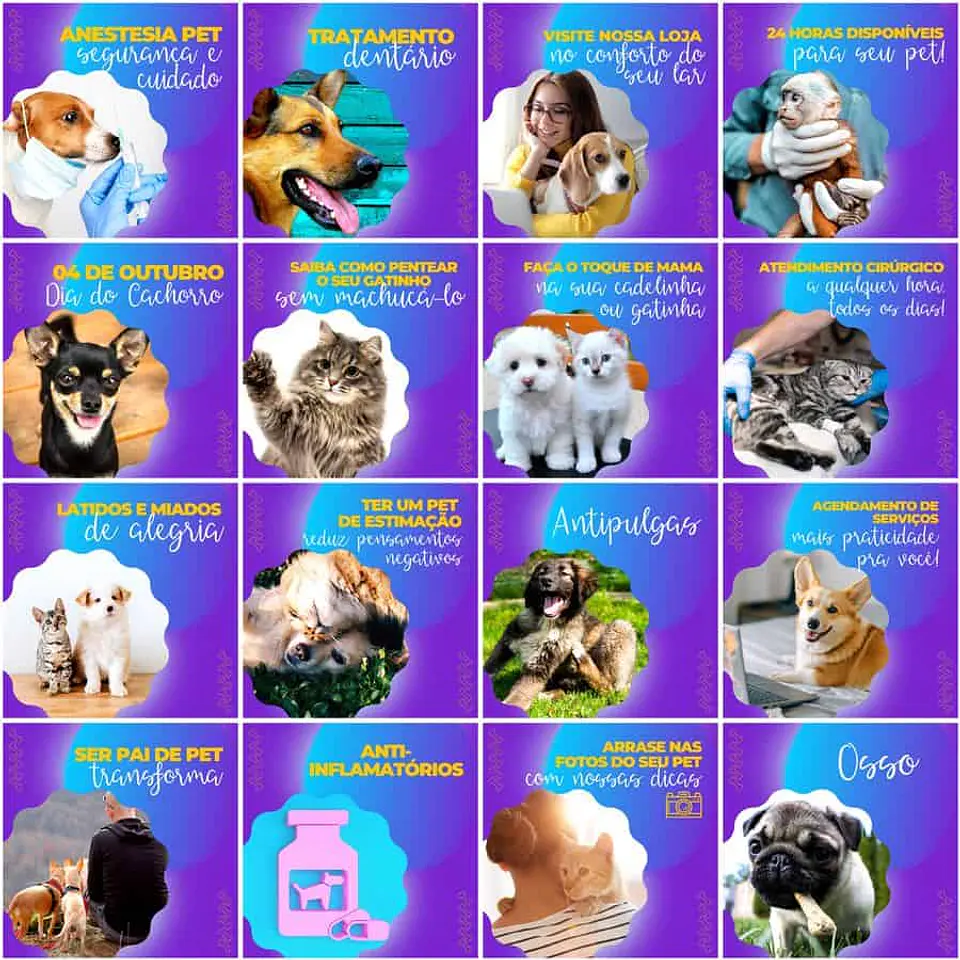 Pack Canva Pet Shop Templates Editáveis 200 Artes + Legendas 3