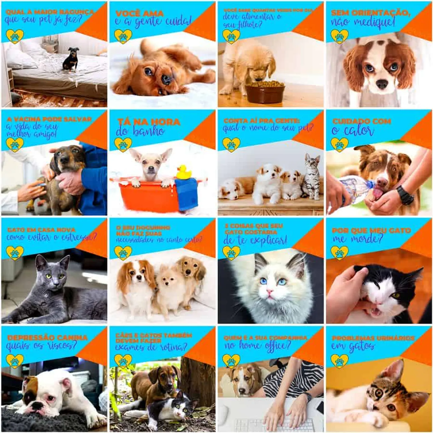 Pack Canva Pet Shop Templates Editáveis 200 Artes + Legendas 7