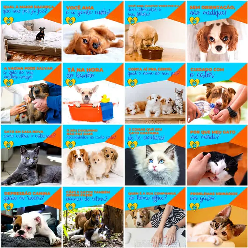 Pack Canva Pet Shop Templates Editáveis 200 Artes + Legendas 7