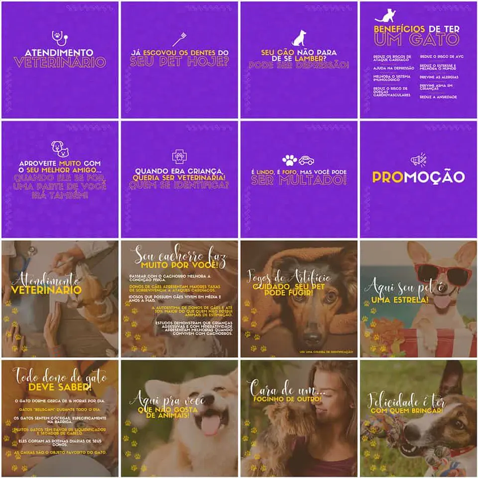 Pack Canva Pet Shop Templates Editáveis 200 Artes + Legendas 9