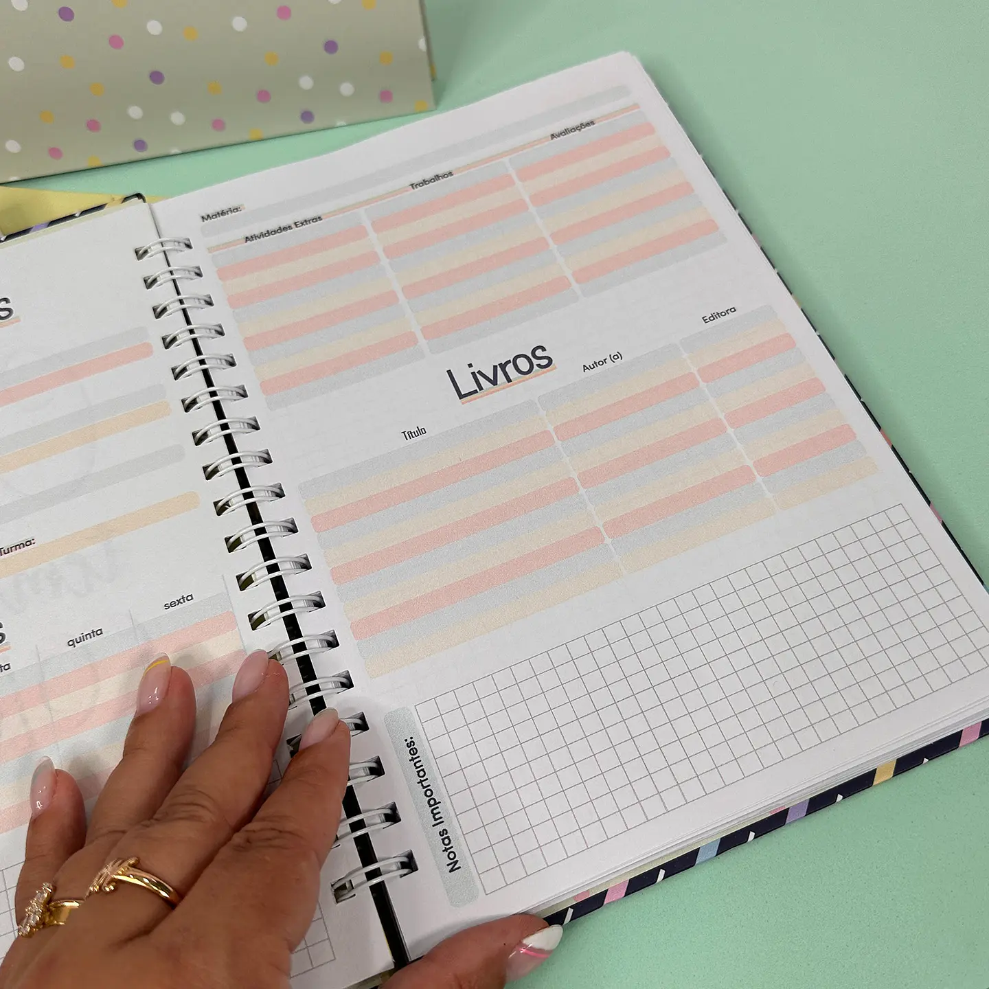 Arquivo Agenda Caderno Personal e Outros em Pdf  5