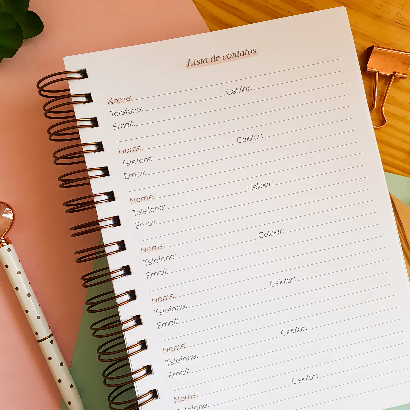 Arquivo Caderno de Pedidos em Pdf  6