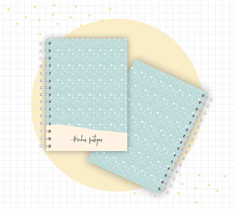 Arquivo Planner Youtuber e Minhas Postagens 2024 em Pdf 