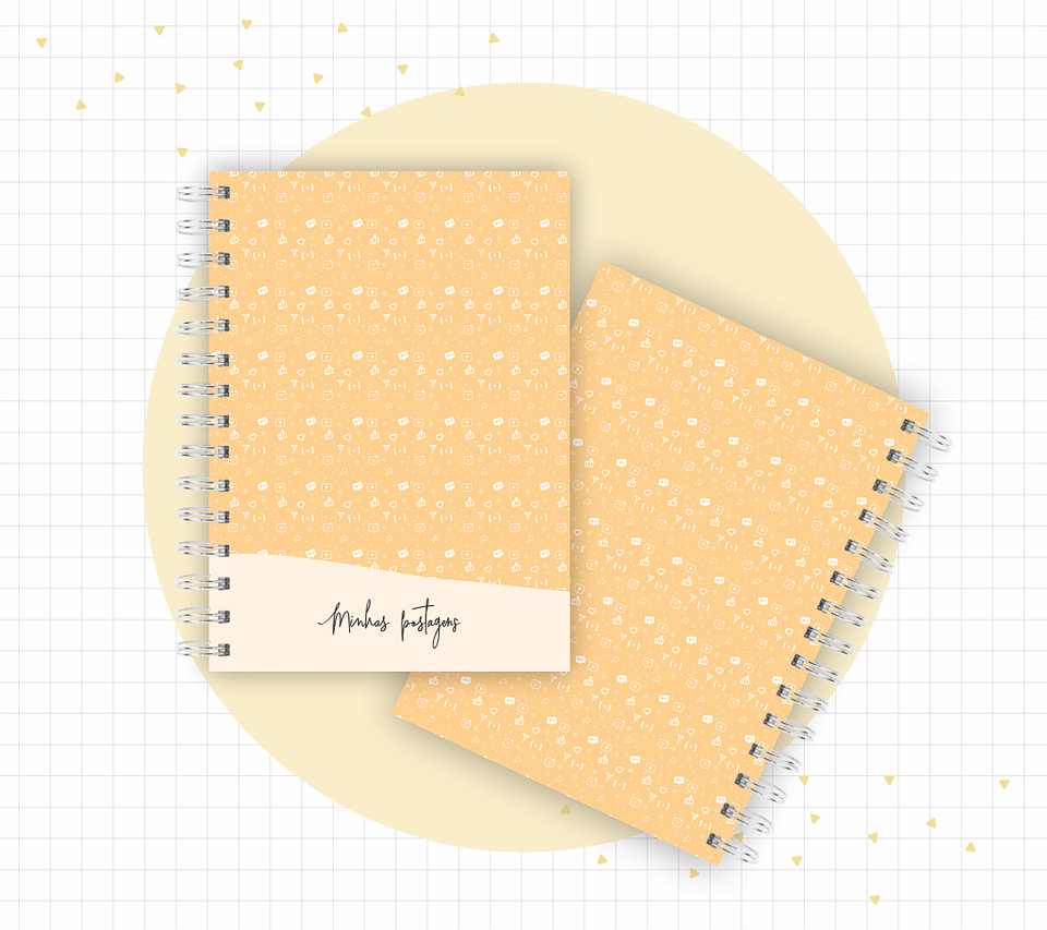 Arquivo Planner Youtuber e Minhas Postagens 2024 em Pdf  2