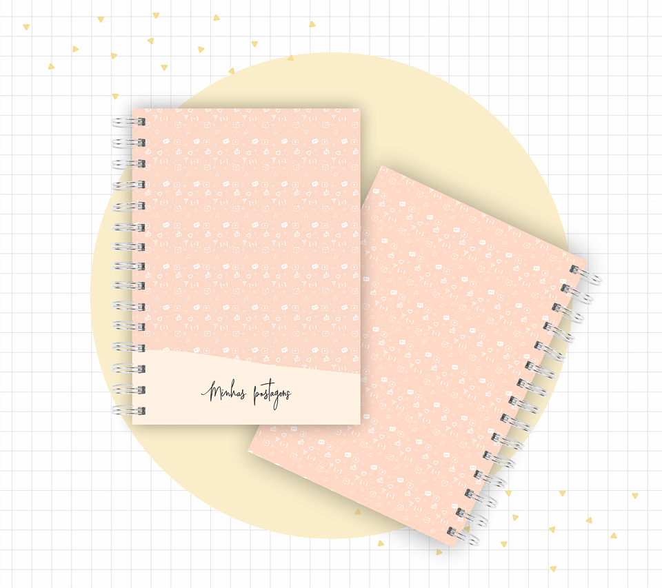 Arquivo Planner Youtuber e Minhas Postagens 2024 em Pdf  3